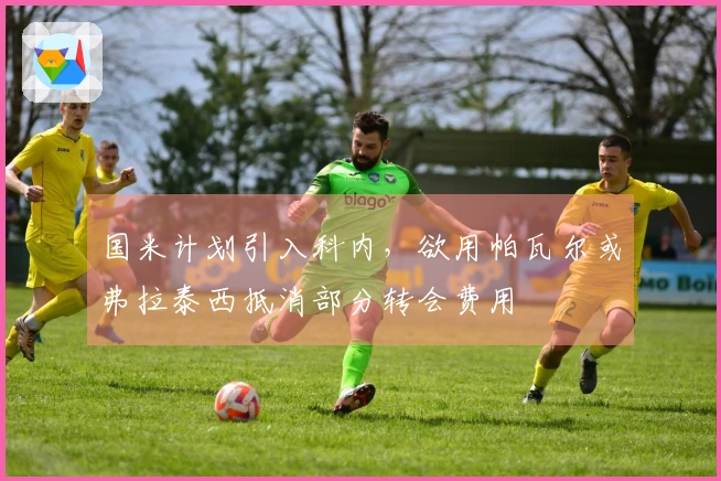 国米计划引入科内，欲用帕瓦尔或弗拉泰西抵消部分转会费用