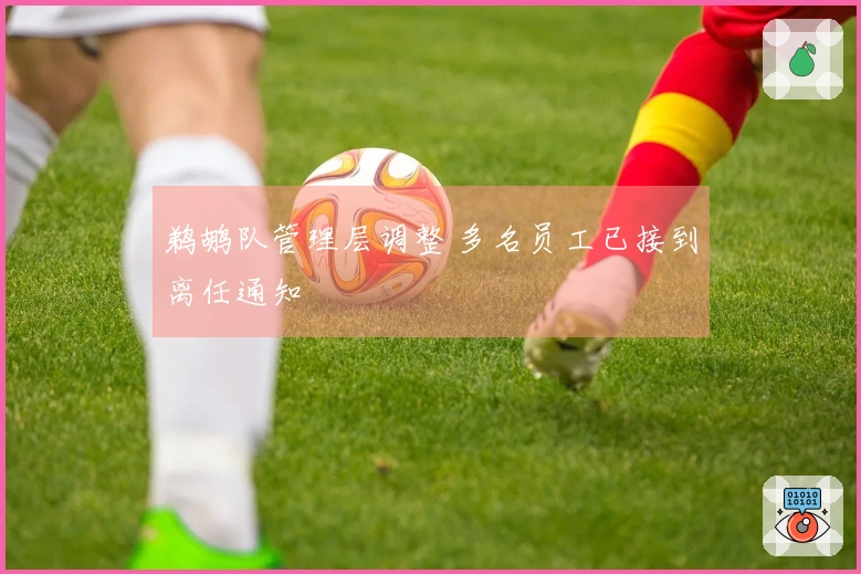 鹈鹕队管理层调整 多名员工已接到离任通知